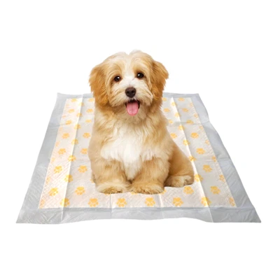 Kertakäyttöiset PH-testikoiran pissatyynyt